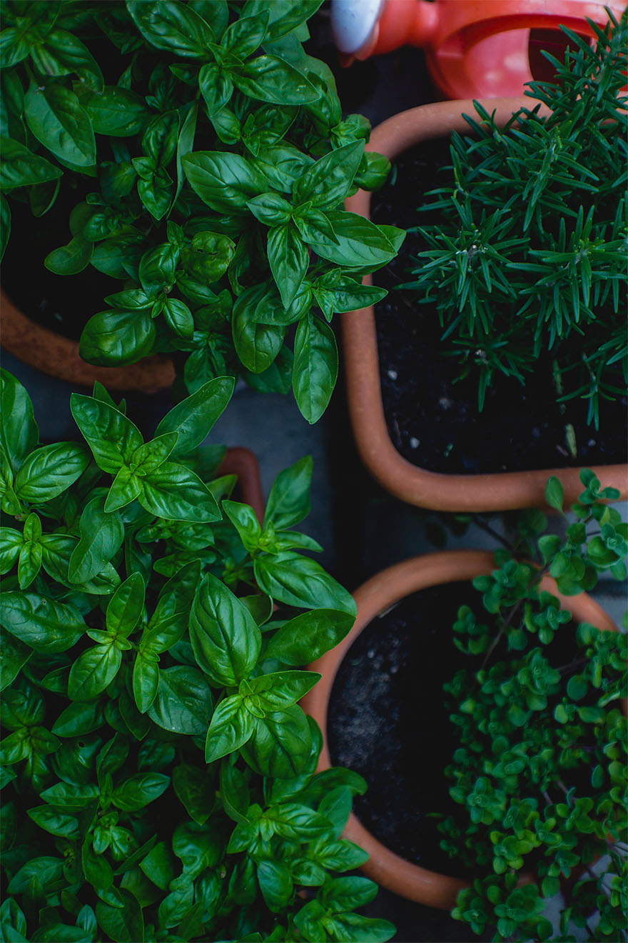 Gardening