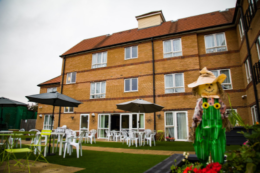 Garden with scarecrow